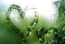 布鲁克林篮网发布备战花絮，今晨刷新队史纪录，NBA季后赛任务艰巨，赛季目标并未改变的简单介绍贝博官方app